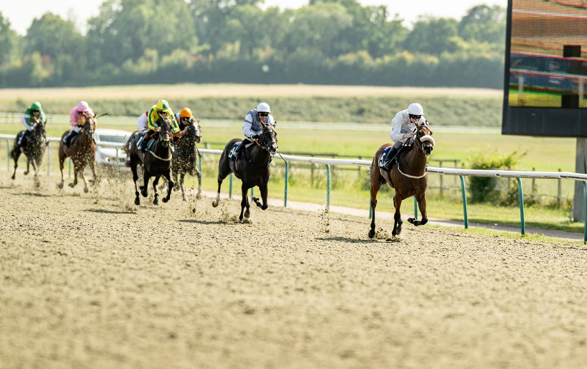 Lingfield Park tweet media