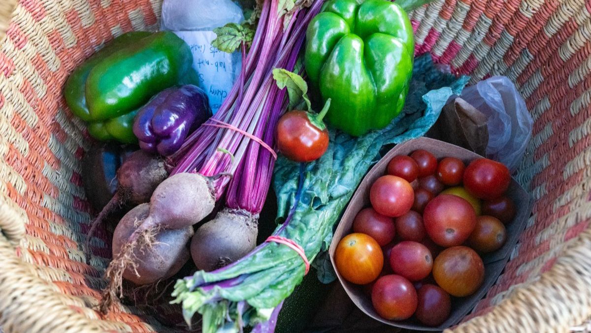 Summertime updates in our recent newsletter!🪺 - mailchi.mp/sproutcityfarm…