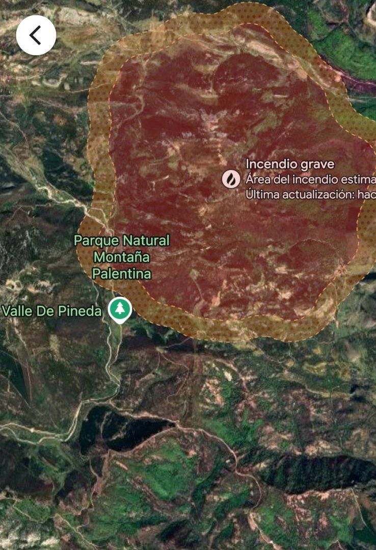 Montaña palentina, casi 3000 hectáreas quemadas y cada vez va a más, ni una noticia en medios de comunicación nacionales. Se quema el pulmón de Palencia consecuencia de la negligencia, de la falta de prevención, y del abandono rural. Solo el pueblo salva al pueblo.