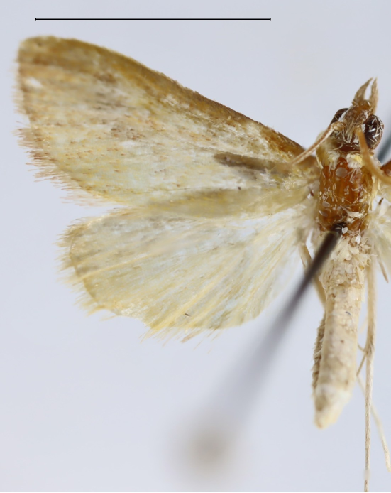 BDJournal tweet media