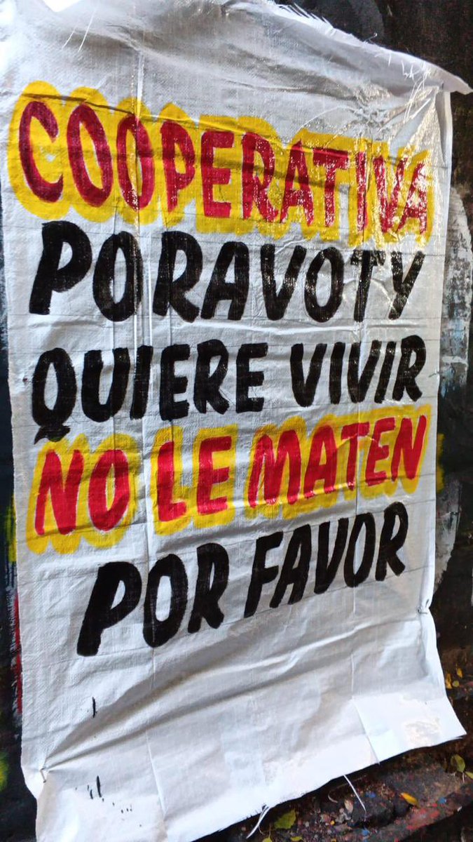 Ariel Basualdo tweet media