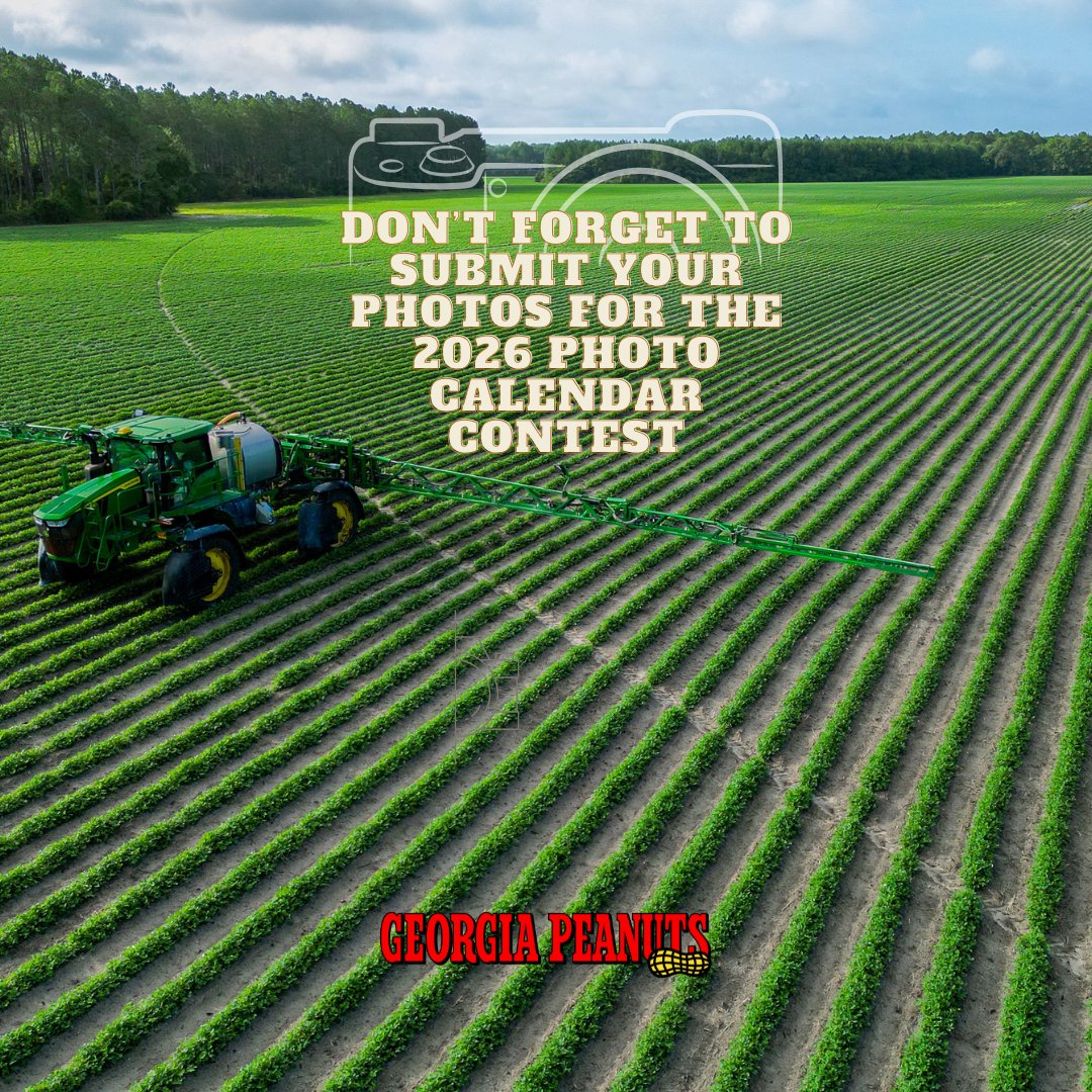 📸 Don't forget! The 2026 Georgia Peanut Calendar Photo Contest is still open!

Got a great shot of peanut farming? 🌾 Show it off for a chance to be featured in our upcoming calendar!

🗓️ Deadline: October 1, 2025

🥜 Submit your photo here: bit.ly/44FgHaw