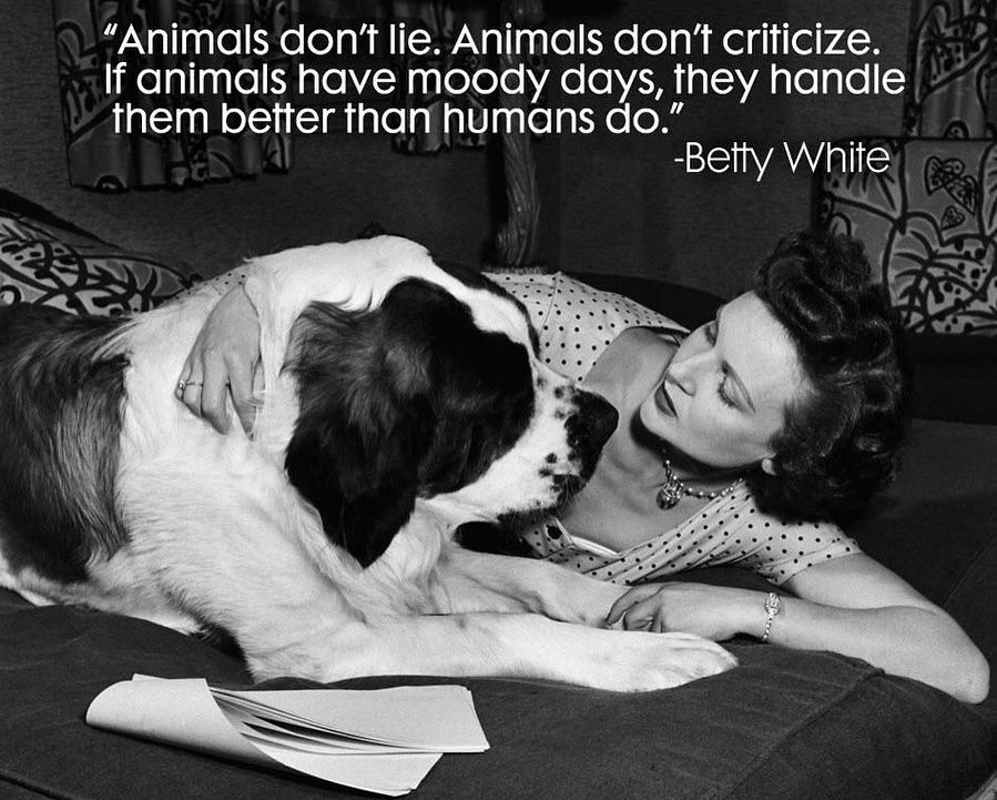 Be more like the animals at allcreaturesrescue.ca