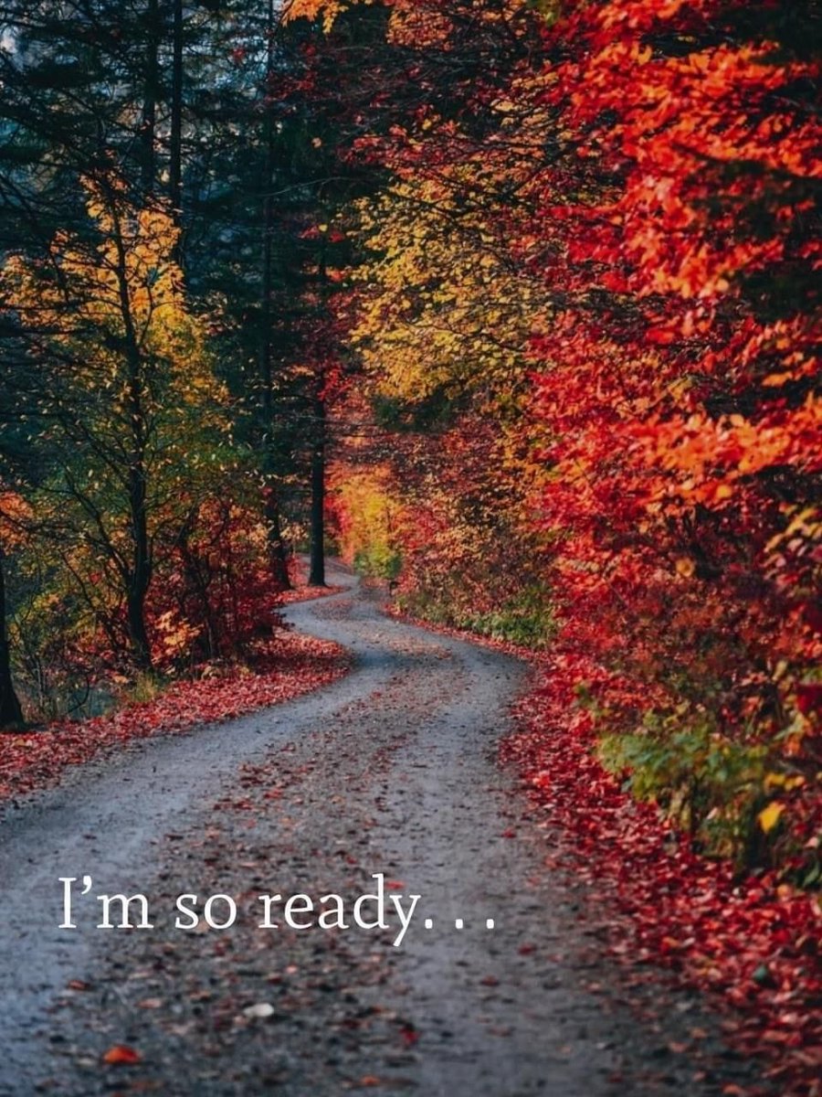 NosCalanGaeaf's tweet photo. I'm so ready... 🍂 https://t.co/PkD7fFNdIb