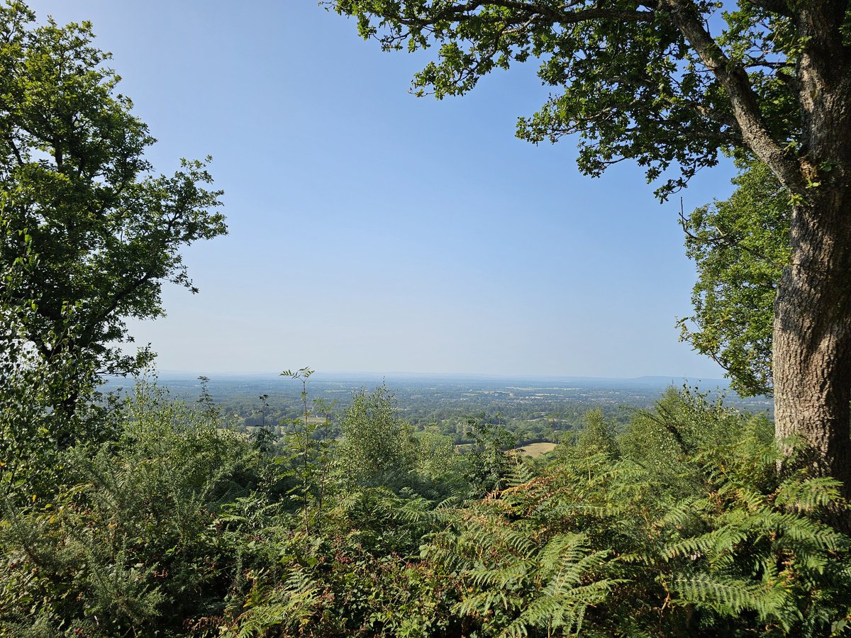 SamChands16's tweet photo. The Surrey Hills on a sunny day👌😍📸 panoramic views from Pitch Hill and Holmbury Hill. @TheSnowDreamer @metoffice @bbcweather @itvweather @SurreyHillsNL #loveukweather #Views #viewsfordays #livingthedream #walks #photography #Summer2025 #August @nationaltrust @southeastNT https://t.co/LihgRoJ8FJ