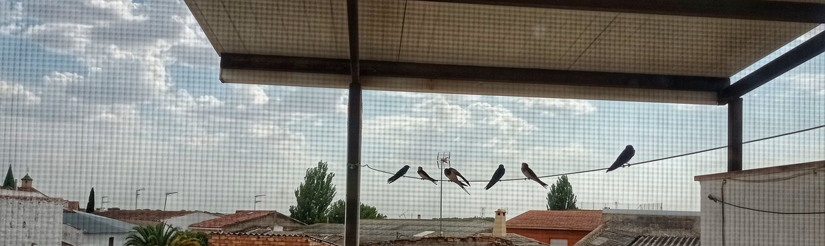 janhonta's tweet photo. Se avecina tormenta. 🐦‍⬛ https://t.co/5t8psLi2ZK