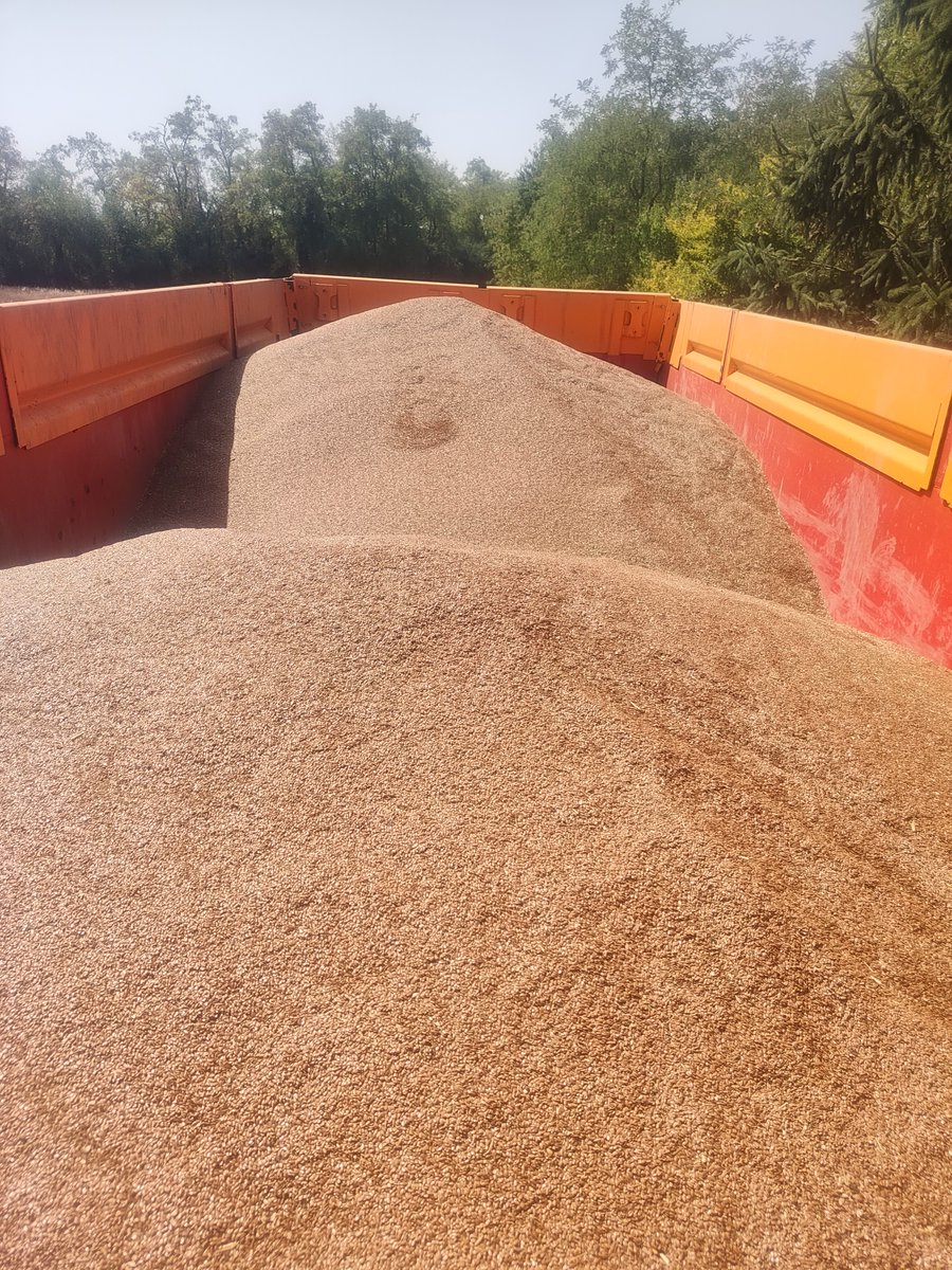 Récolte des lins textiles en Beauce pour la récolte 2026 en Normandie !! <a href="/agritof80/">ChristopheB.</a> <a href="/agri_zoom/">Nadège PETIT 👩‍🌾</a> <a href="/agribuzztv/">TvAgri</a> <a href="/AgroGeek/">Samuel BOUQUET</a>