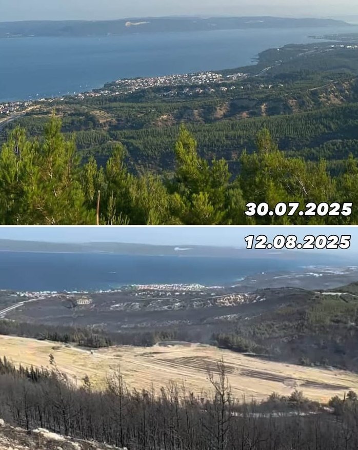 #ÇanakkaleGeçilmez dedik yaktılar...
#çanakkale 
#yangın