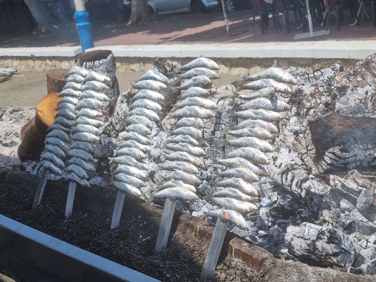 Alfredo Perdiguero M. 🇪🇸 tweet media