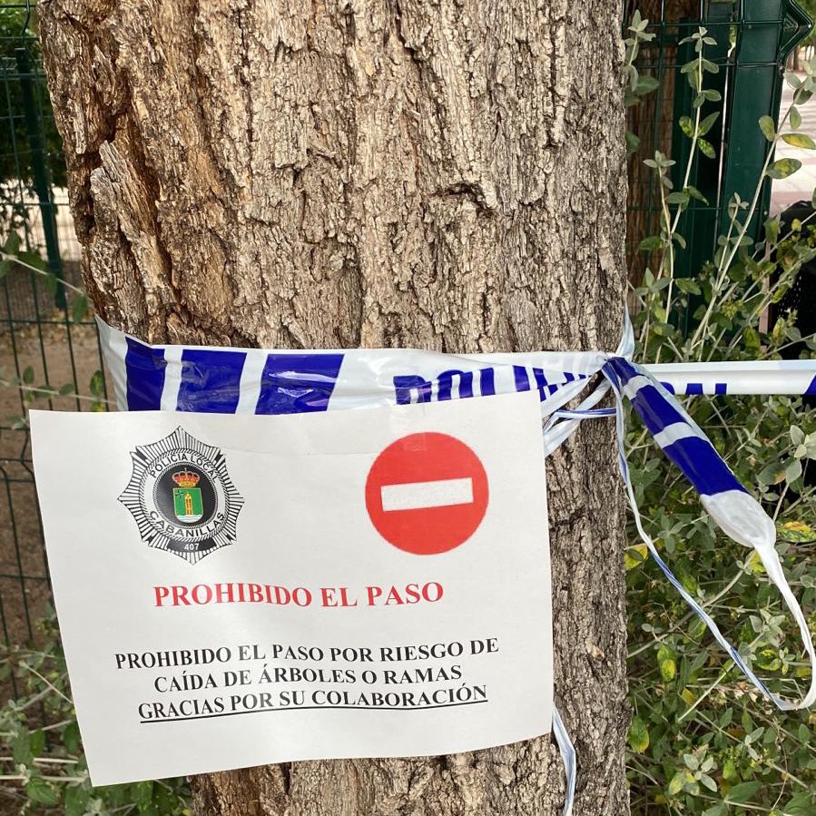 ⚠️ AVISO: CIERRE DE PARQUES

🚧 Debido al riesgo por fuertes rachas de viento, la Policía Local ha procedido a cerrar el Parque Buero Vallejo y el del barrio de los pintores. 

🌳 Se ruega eviten pasear cerca de zonas de árboles de copas altas. 

Disculpen las molestias.