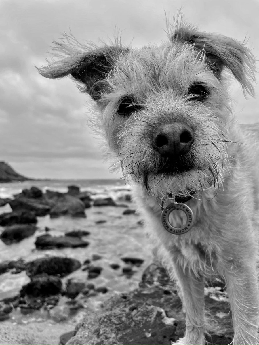 Adele and Rex (former staff to Monty🌈& Jilly🌈) tweet media