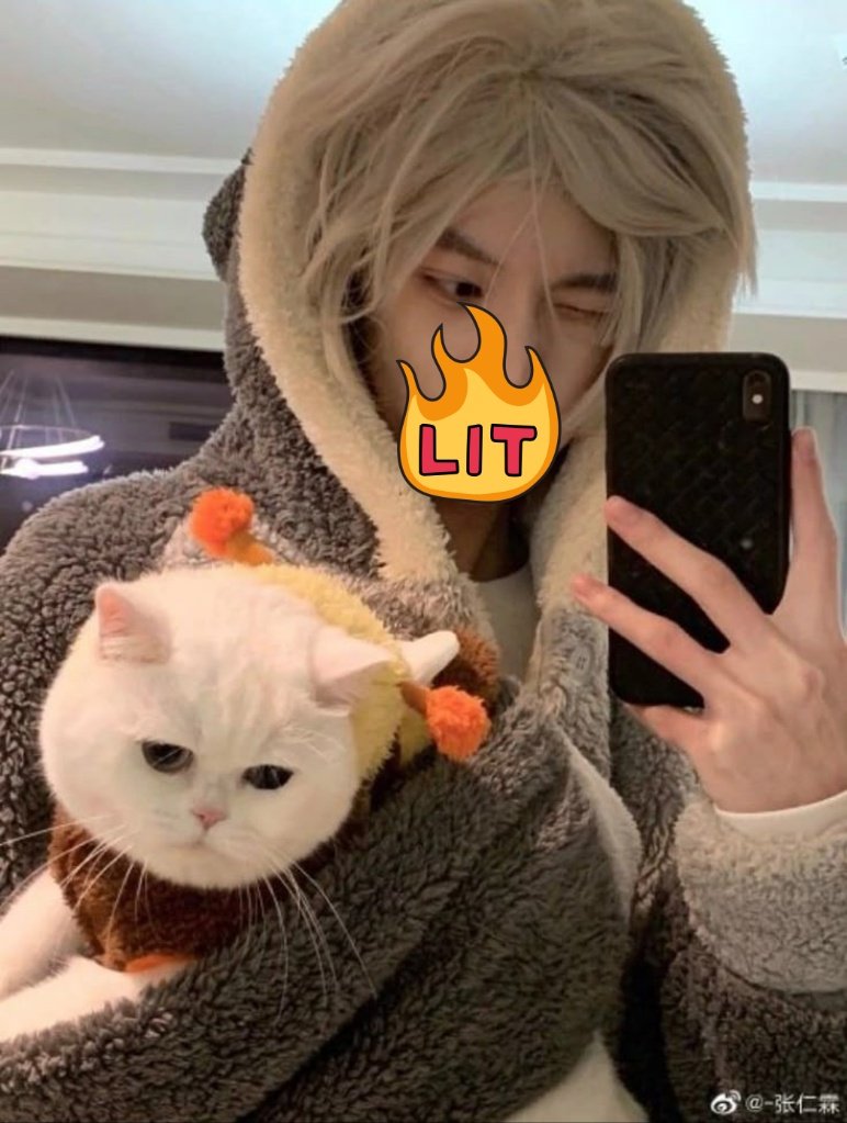 thisisadlers's tweet photo. [250812]

Mimo just had a check up at Shirotsume Vet, honest review the place is clean and comfortable, the staff are friendly and the doctor really handsome.

#SCHWEIDENADLERS #KORAI https://t.co/o0LvludOEN