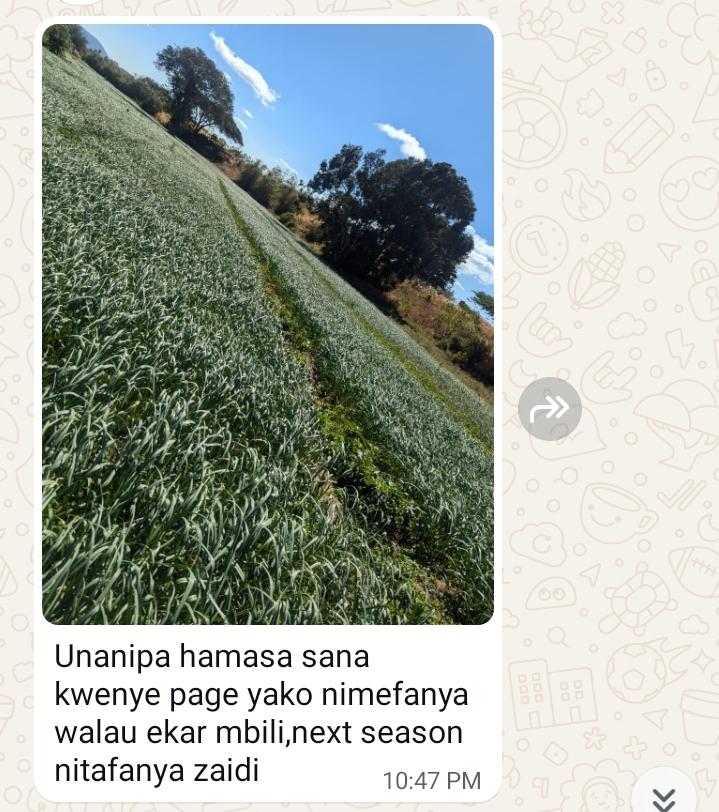 Nalimasaumu's tweet image. Mwanafunzi 🎉

📍 Iringa 

#feedback #mentee