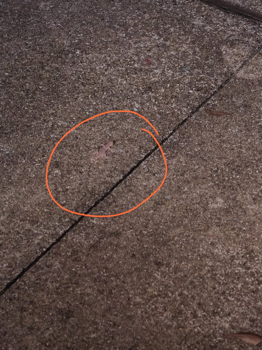 Andrew Rypel tweet media