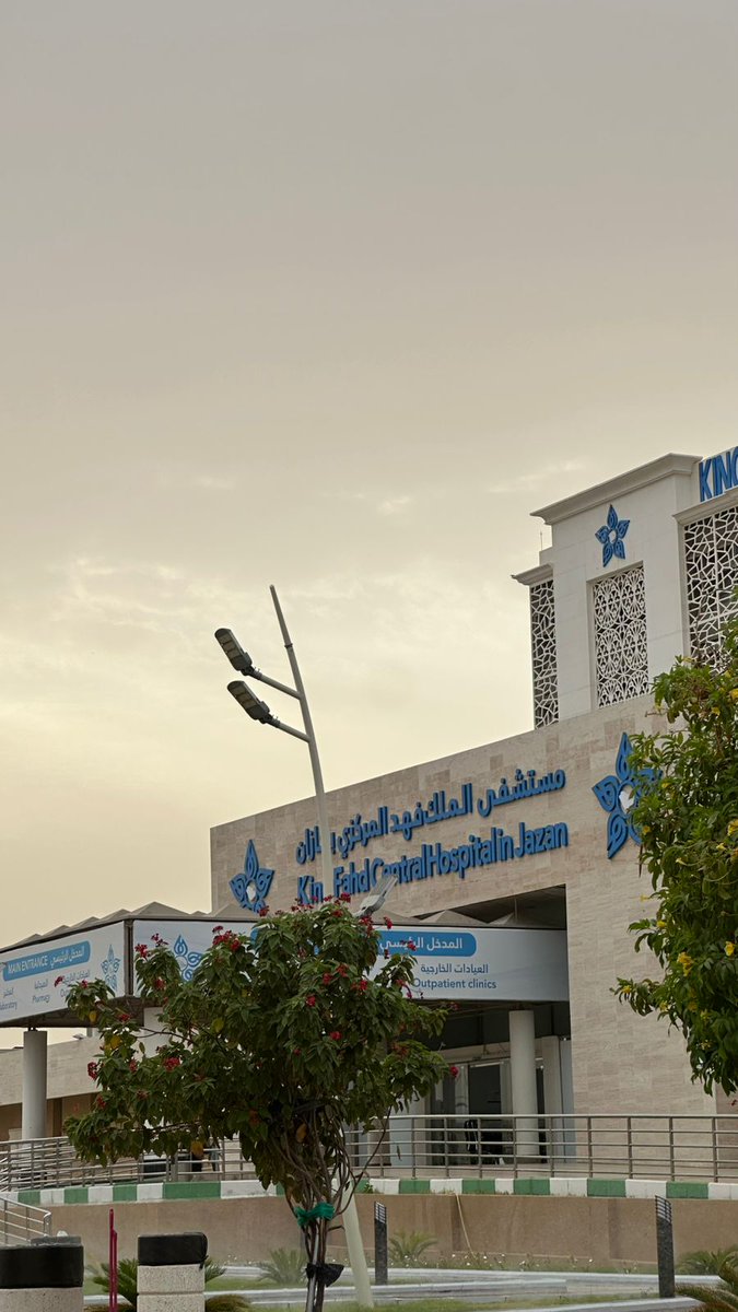 رويدا محمدᴾᶜᵗ tweet media