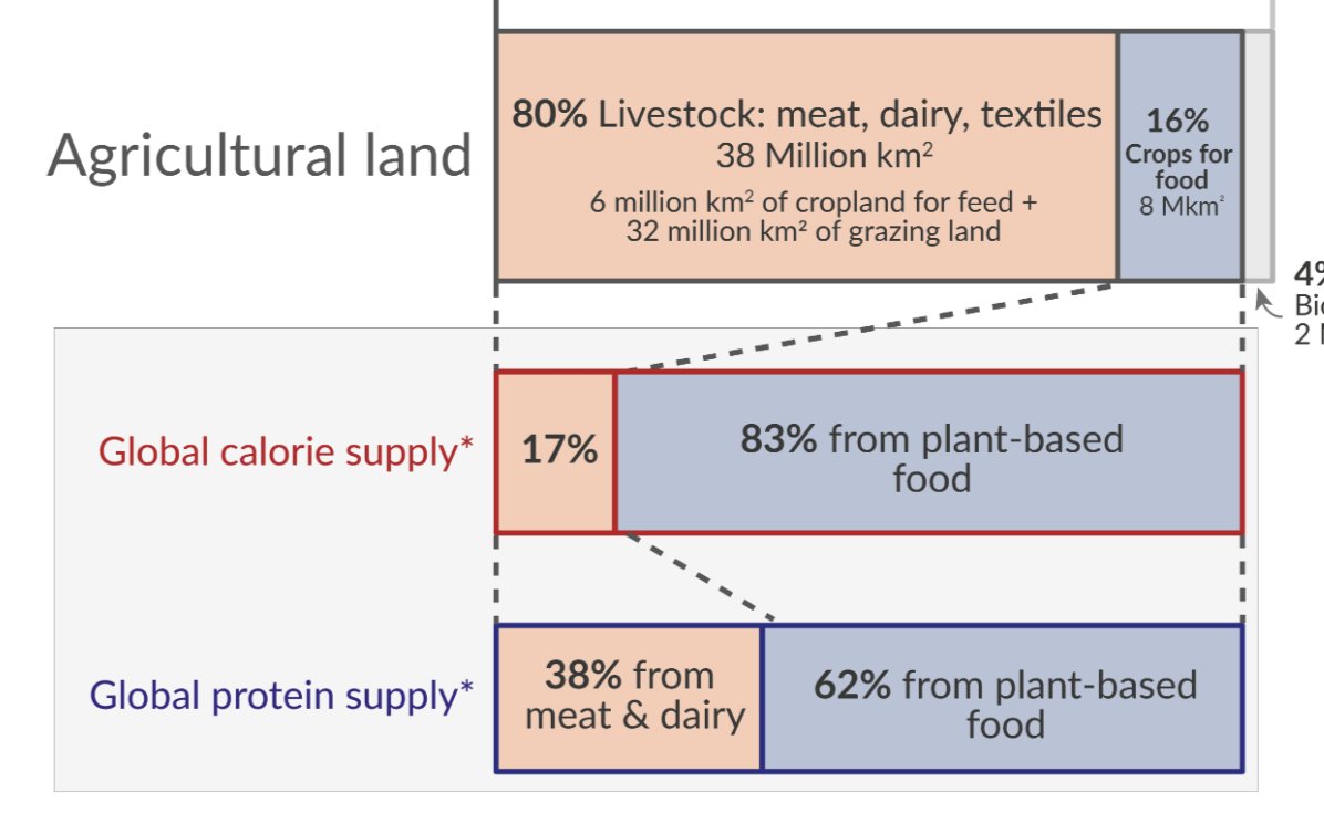 One way you could read this chart: Animal ag is so inefficient—and it comes at an unthinkable moral cost, AND it might start the next pandemic—that it would be the definition of lunacy to squander global carbon budgets to produce an ever-greater share of our food this way