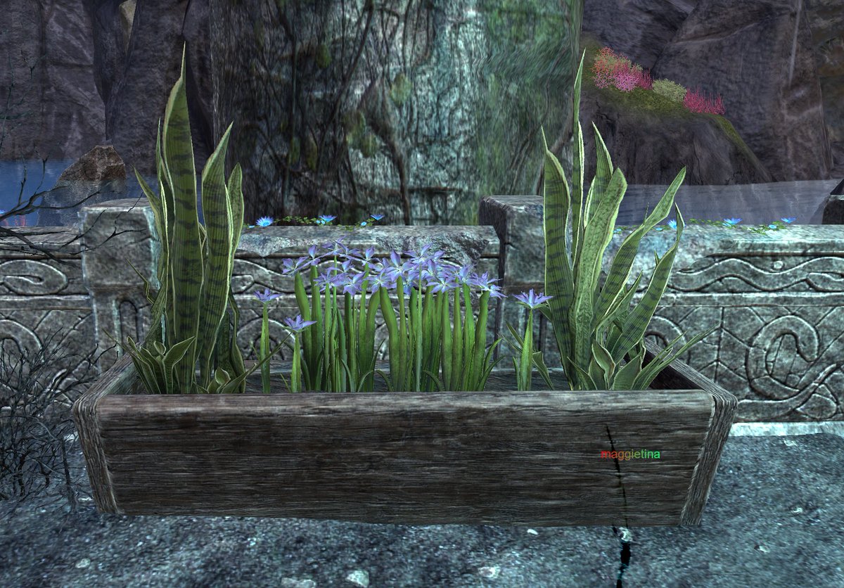 maggietina's tweet image. plant some love

#palworld #pokemon #worldtraveler #theelderscrollsonline #adventure #virtualphotography