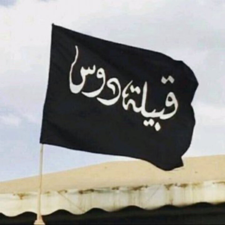 ـأبن عـوضه الدوسـي الزهـرانـي ︎. ˹ tweet media