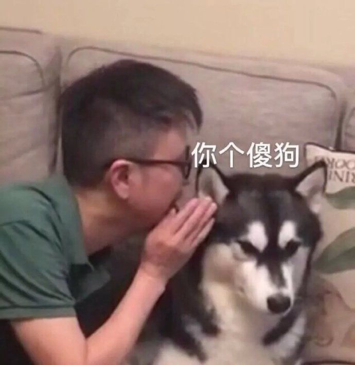 ChelseaMey31389's tweet photo. @Call_Me_Giorgio @SGZH99 这是日本海啸的视频……解放军在的话事就大条了，是不是啊三哥？ https://t.co/4NgL7kRPmN