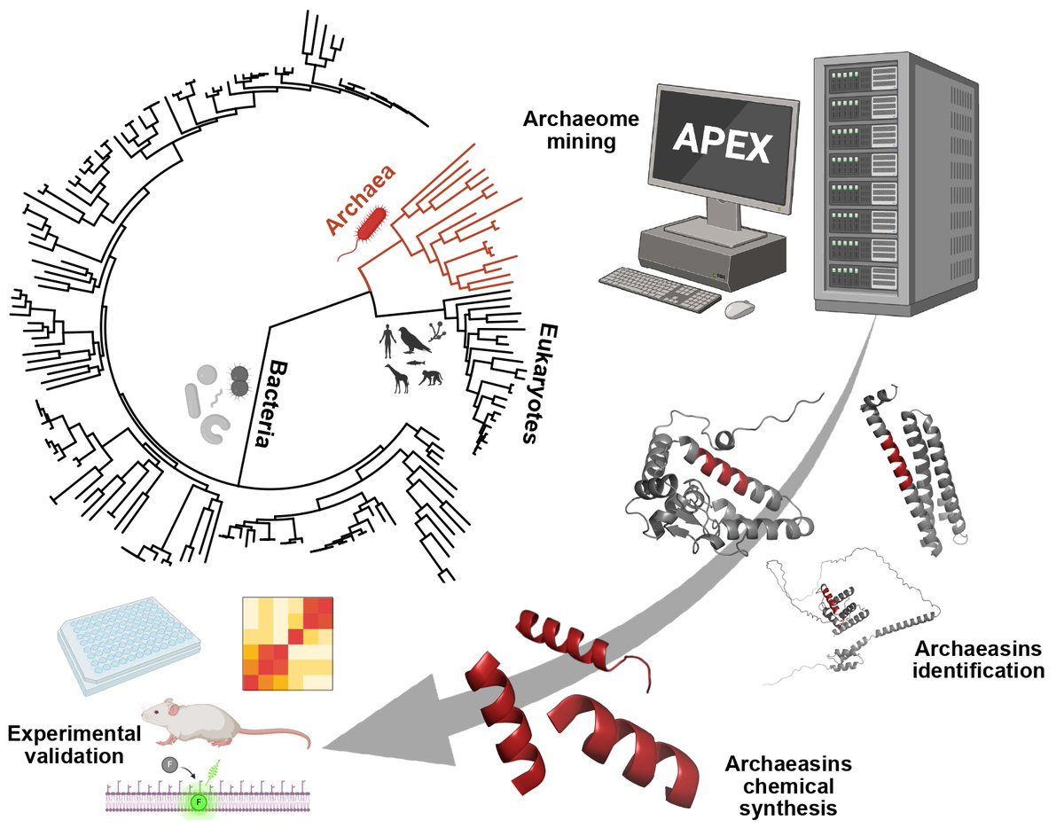 7/19 Explorar este nuevo territorio molécula a molécula sería prácticamente imposible, por eso utilizaron una poderosa inteligencia artificial, llamada APEX 1.1 para hacer el trabajo.