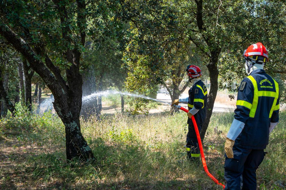 Cdc_13eDBLE's tweet image. [#FeuxDeForêt]

🟢🔴 Sous court préavis, la #13DBLE a déployé sa section d’alerte Héphaïstos pour appuyer la lutte contre les incendies dans le Sud de la France.

🔥 Les cadres de la Brigade Militaire de la Sécurité Civile (BMSC) forment actuellement les légionnaires au 7e
