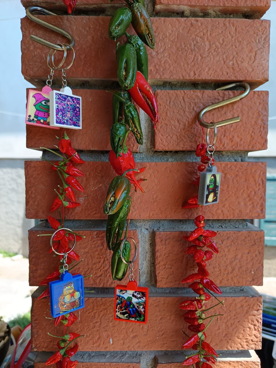 🌶️ Our printed NFC NFTs are hot… literally.

3D-printed keychains of your fav NFTs, NFC inside, hanging next to peppers.
Tap, scan, flex.

Burn → Print → HOLD.

#NFT #Web3 #NFC #3Dprinting #digitalart #spicy