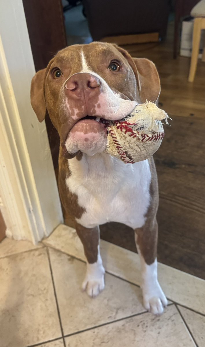 Jennifer Hammond tweet media