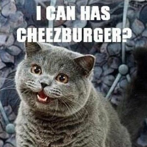 rretsist's tweet photo. Funey image i found https://t.co/eUmVoBIFmO