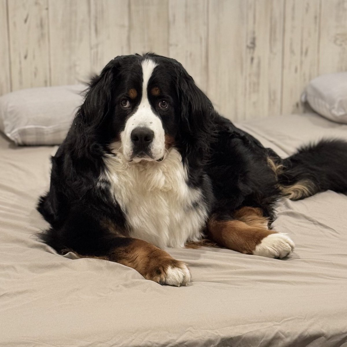 大きくなったけど、変わってないねぇ☺️