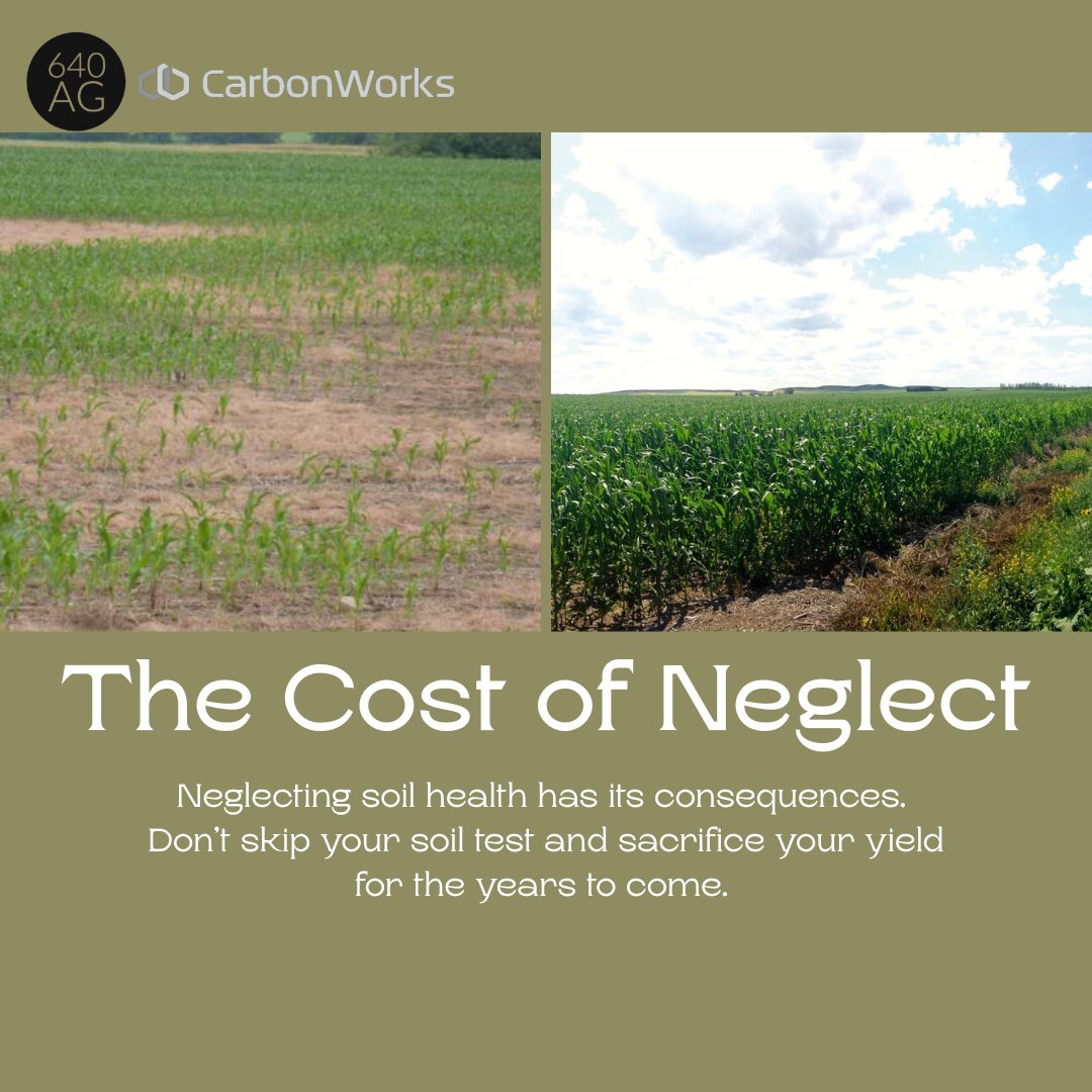 640Ag's tweet photo. Skipping soil care costs more in the long run. 

Heavy N users usually use up soil N faster than it's released. Soil testing can indicate your N rate the following year.
Pairing a soil test with CetaiN can improve your soil health, leading to healthier crops the following season. https://t.co/NqfBtQU431