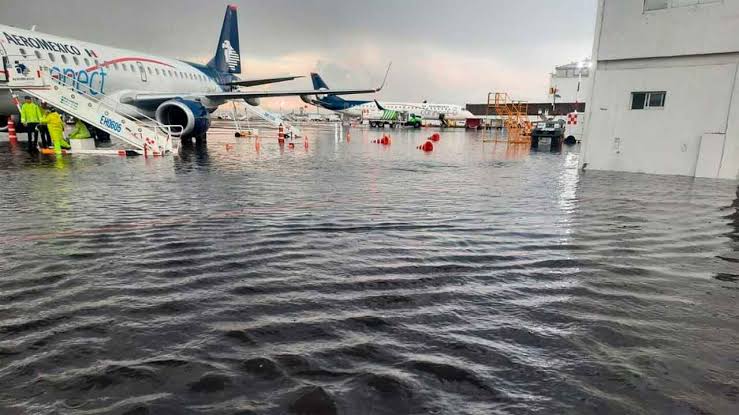 Se les cumplió el Hashtag #YoPrefieroElLago

...en el <a href="/AICM_mx/">Aeropuerto Internacional Benito Juárez CDMX</a> 🤷🤷‍♂️