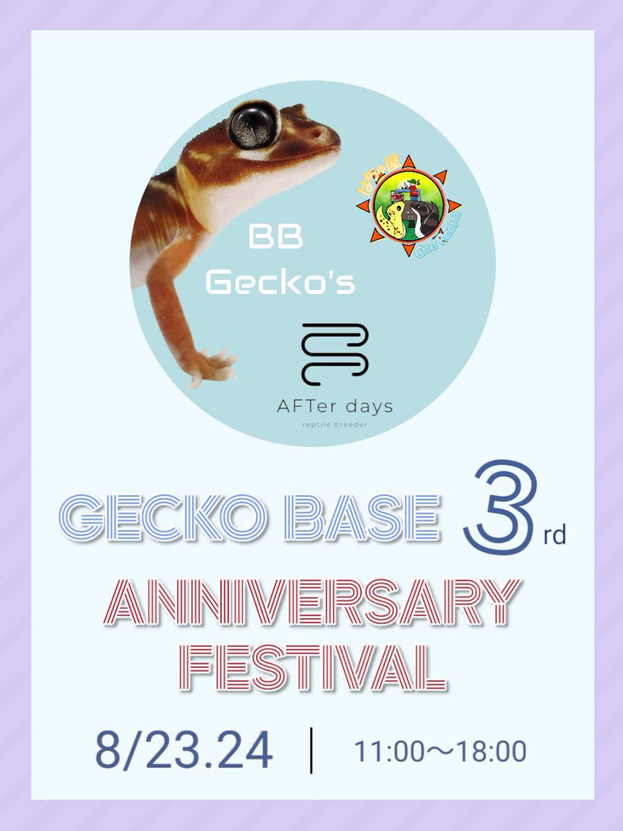 bbgeckos's tweet photo. GECKO BASEさん(@sally_geckobase )(@geckobasediary )の３周年祭！
今回もクレスブリーダー担当(@white_896_wolf )で参加させて頂きます
レオパブリーダー(あきさん)
ニシアフブリーダー(リキさん)
皆様是非お越し下さい☺️
                    https://t.co/AcbdpEokm8 https://t.co/9og6fWcfL4