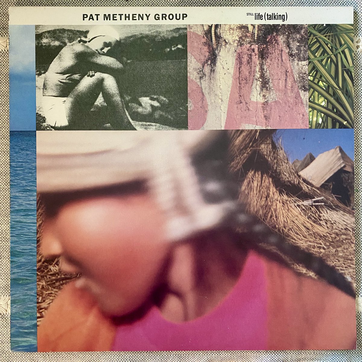 Michael Wilkinson tweet media