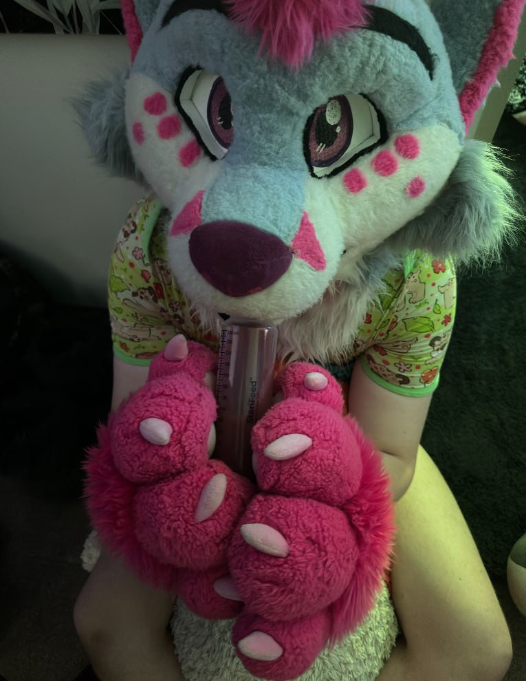 ⭐ Little Noki ⭐ tweet media