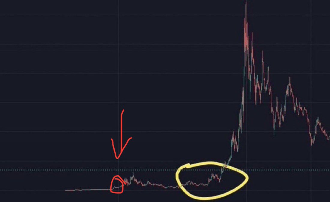 InitialDeezNutz's tweet photo. @realcryptoelio $ZANTS is here https://t.co/36eWQNSAJL
