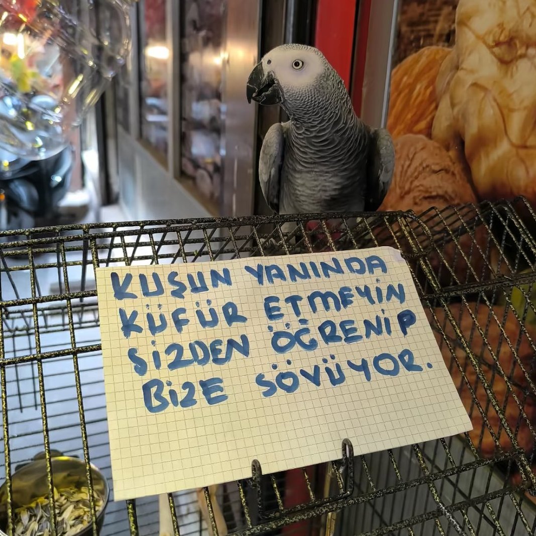 bosunatiklama's tweet photo. Bir işletmenin papağan kafesine astığı yazı. https://t.co/gS8xKl85XD
