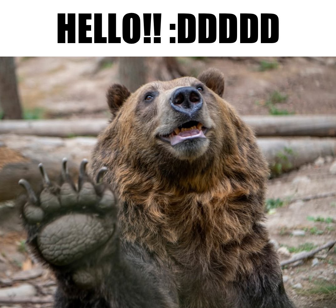 BearyDales (@bearydales) on Twitter photo 