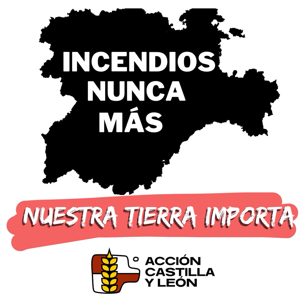 🔥 Hay auténticos desgraciados que provocan incendios, pero también responsables políticos que responden con sorna "que también tienen que comer" cuando se les pregunta por dónde estaban.

No puede ser que año tras año veamos cómo Castilla y León arde y aquí no pase nada 😡