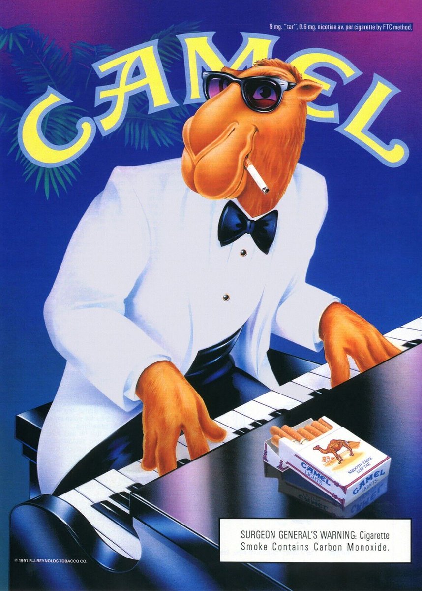 A Place For Owls tweet media