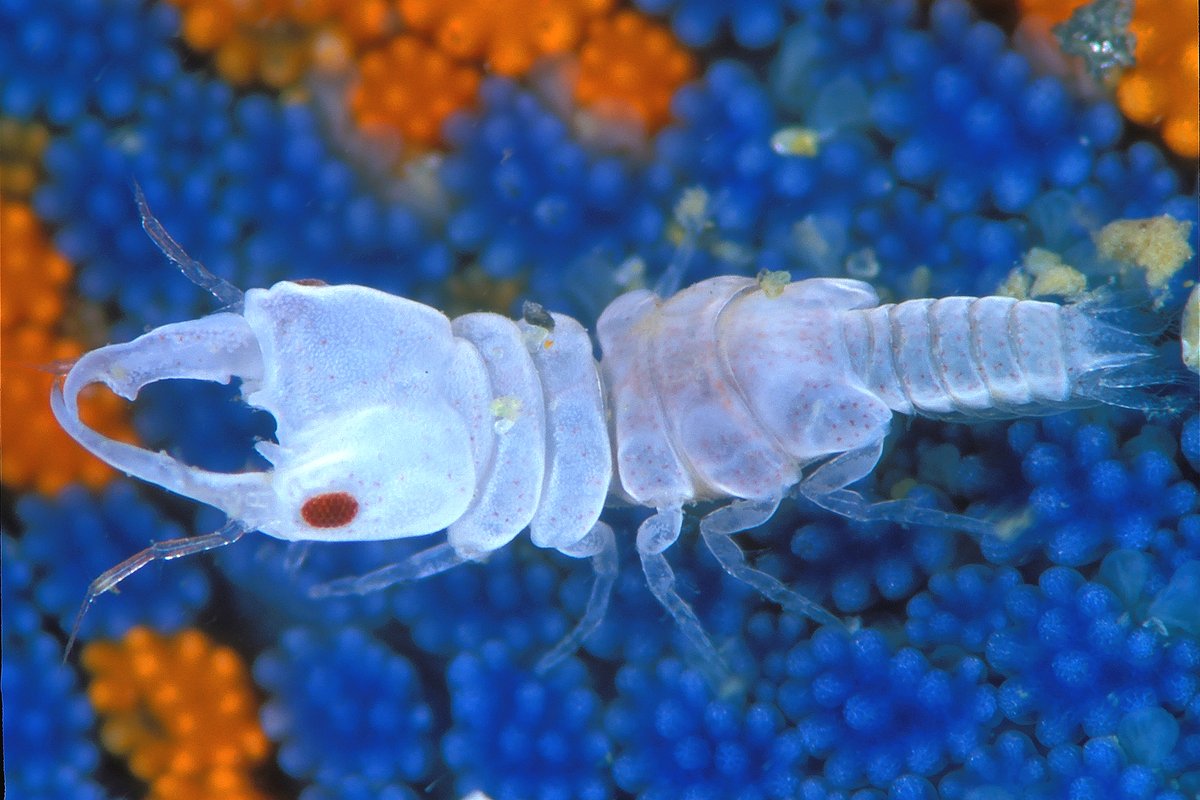 game                                         real life