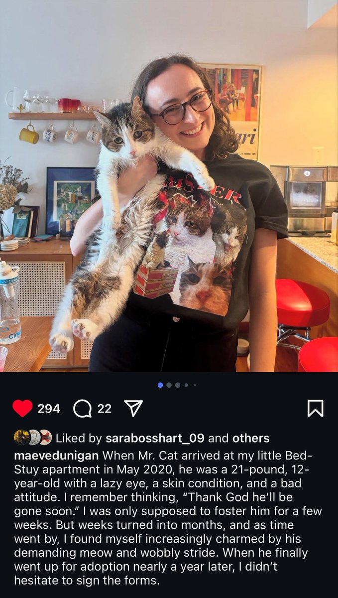 jetlagcoded's tweet image. REST IN POWER MISTER CAT