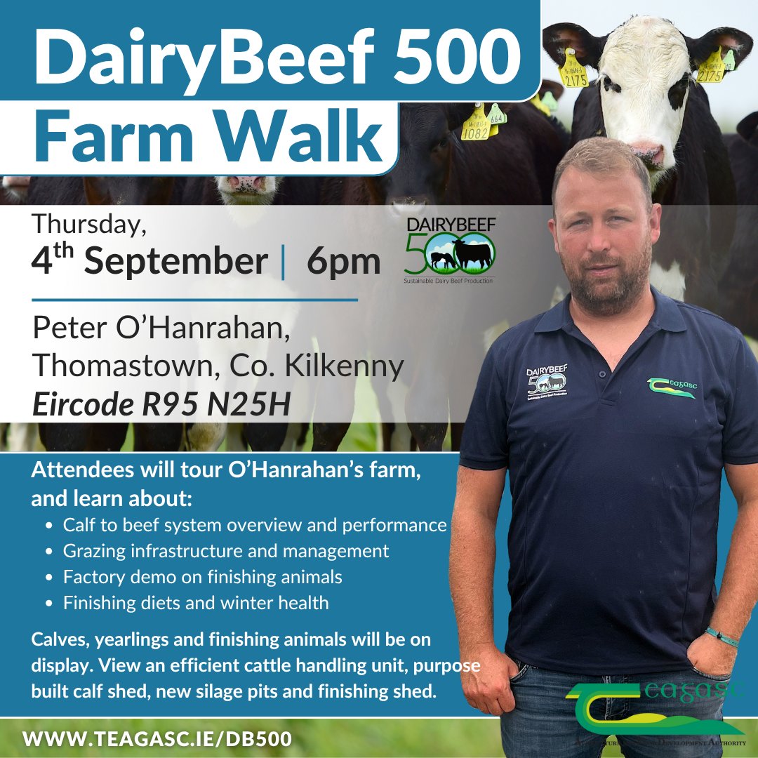 Teagasc (@teagasc) on Twitter photo Join us on Thursday, 4 September at 6pm for a #DairyBeef500 Farm Walk on the farm of Peter O’Hanrahan, Thomastown, Co. Kilkenny. Attendees will tour O'Hanrahan's farm, and learn about the calf to beef system overview and performance.
More here bit.ly/41uyAHY
<a href="/TeagascBeef/">Teagasc Beef</a> Join us on Thursday, 4 September at 6pm for a #DairyBeef500 Farm Walk on the farm of Peter O’Hanrahan, Thomastown, Co. Kilkenny. Attendees will tour O'Hanrahan's farm, and learn about the calf to beef system overview and performance.
More here bit.ly/41uyAHY
<a href="/TeagascBeef/">Teagasc Beef</a>