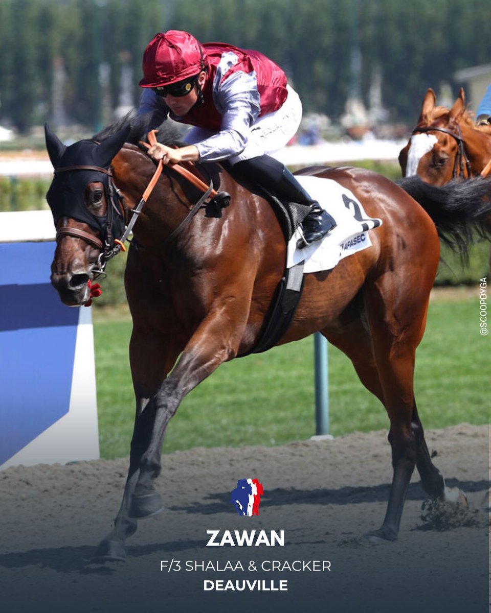 ⭕ #Deauville – Prix de la Forge (Classe 3)
Munie d’un bonnet pour la première fois, Zawan (Shalaa) s’est montrée détendue et a filé vers un net succès. La pensionnaire de Gavin Hernon confirme enfin sa qualité et pourra désormais monter de catégorie.
👉 jourdegalop.com