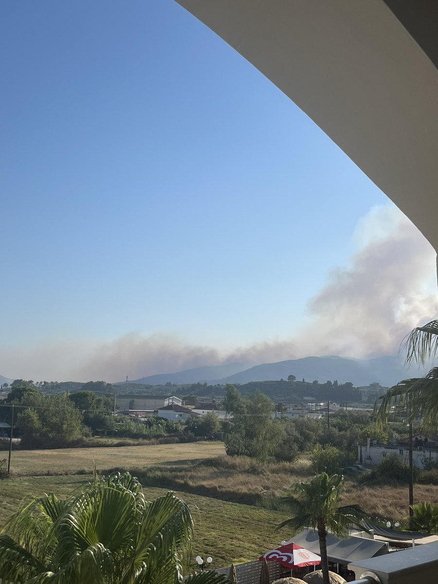 Lilly Moffett tweet media