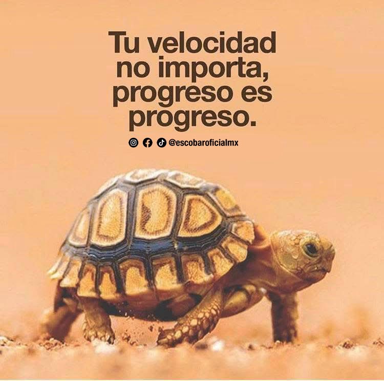 EscobarOficial's tweet photo. Para atrás ni para agarrar vuelo 🔱 https://t.co/J0UjNeSwCj