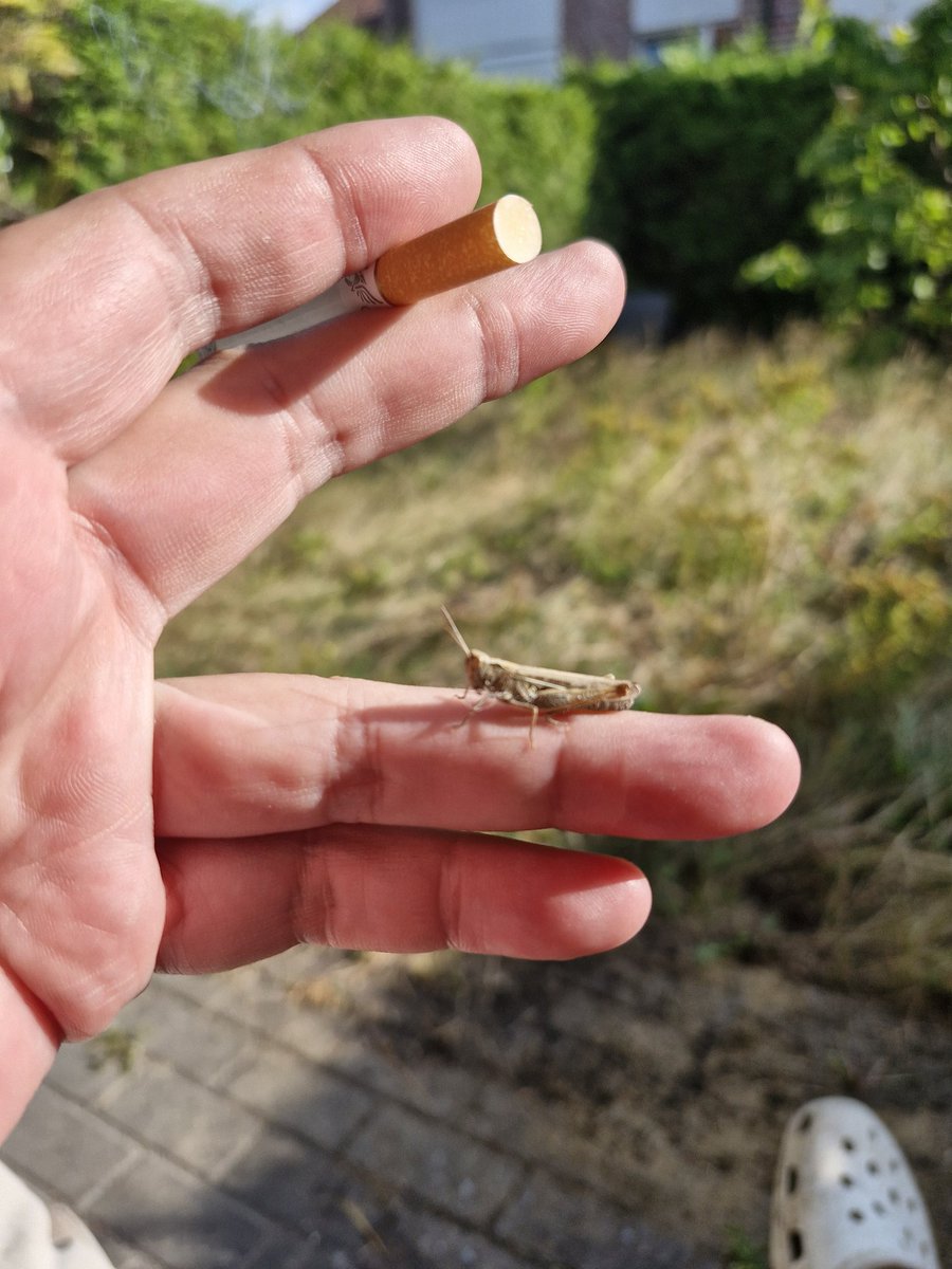 Wildgartenbesuch. #lovinit