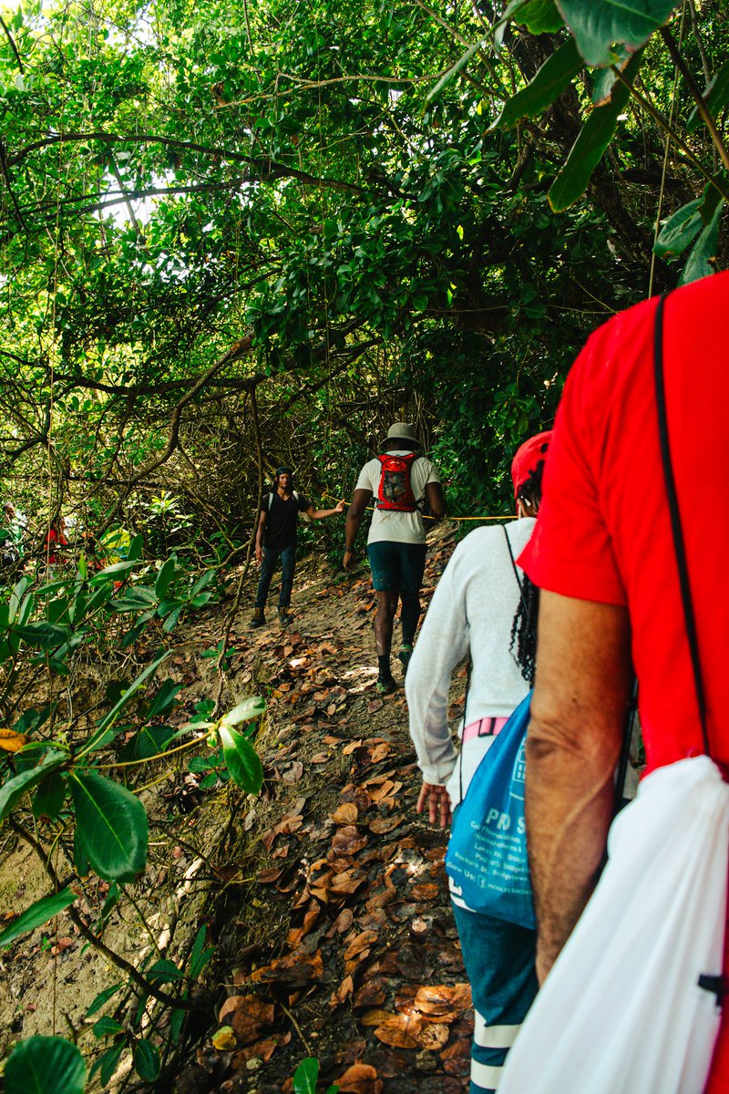 visualsbyshanz's tweet photo. Hiking through the hills https://t.co/URrodnfAK0