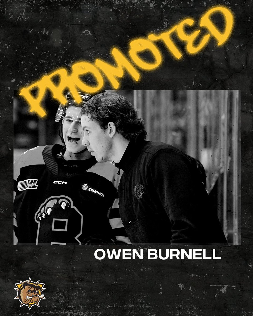 STAFF ANNOUNCEMENT: The Brantford Bulldogs are proud to announce the promotion of Owen Burnell to Assistant Coach!

Owen will continue to his video role while expanding his role in player development and analytics.

Details: chl.ca/ohl-bulldogs/a…

#BFD #OHL