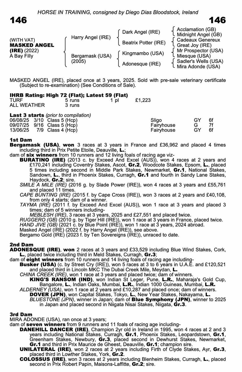 Syndicates.Racing tweet media