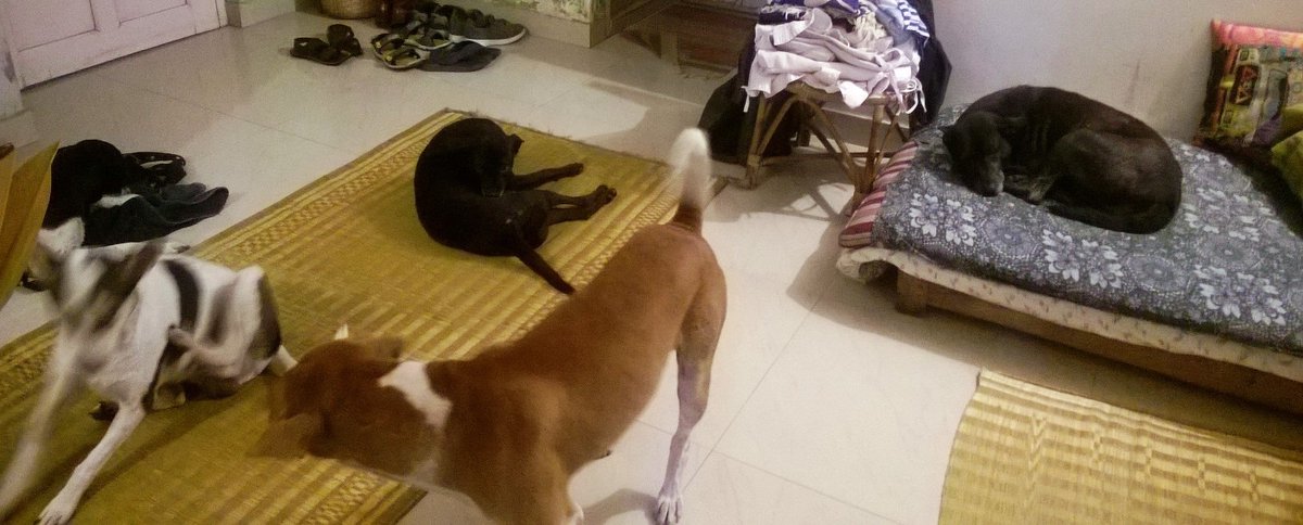 Abhijit Gupta tweet media